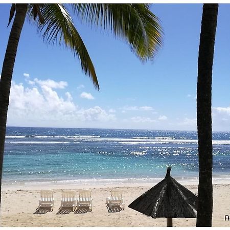 Studio Village Vacances,Vue Mer, Plage A 30M ,Wifi A Sainte Anne Buitenkant foto