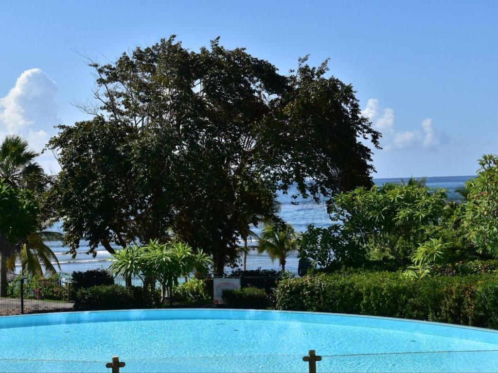 Studio Village Vacances,Vue Mer, Plage A 30M ,Wifi A Sainte Anne Buitenkant foto