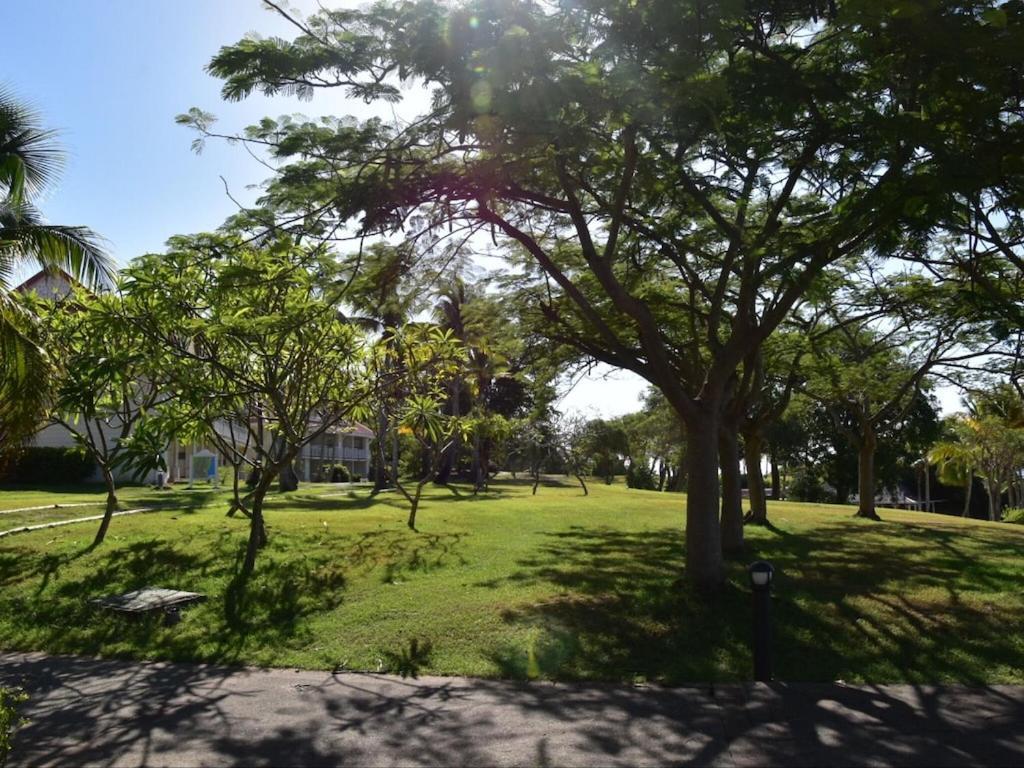 Studio Village Vacances,Vue Mer, Plage A 30M ,Wifi A Sainte Anne Buitenkant foto