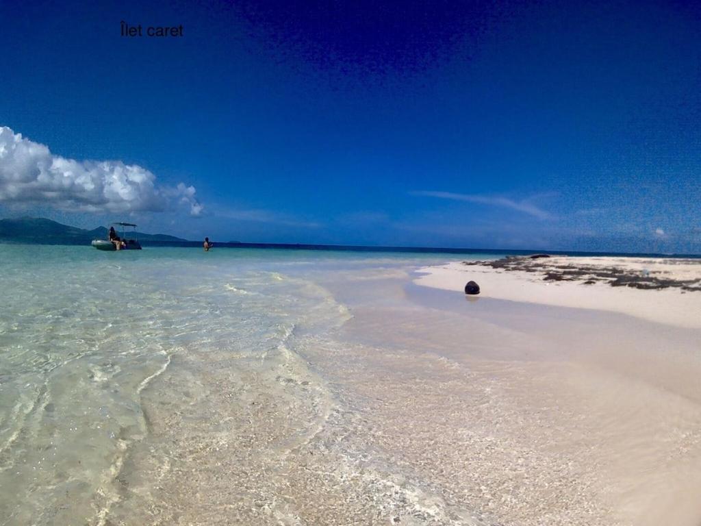 Studio Village Vacances,Vue Mer, Plage A 30M ,Wifi A Sainte Anne Buitenkant foto