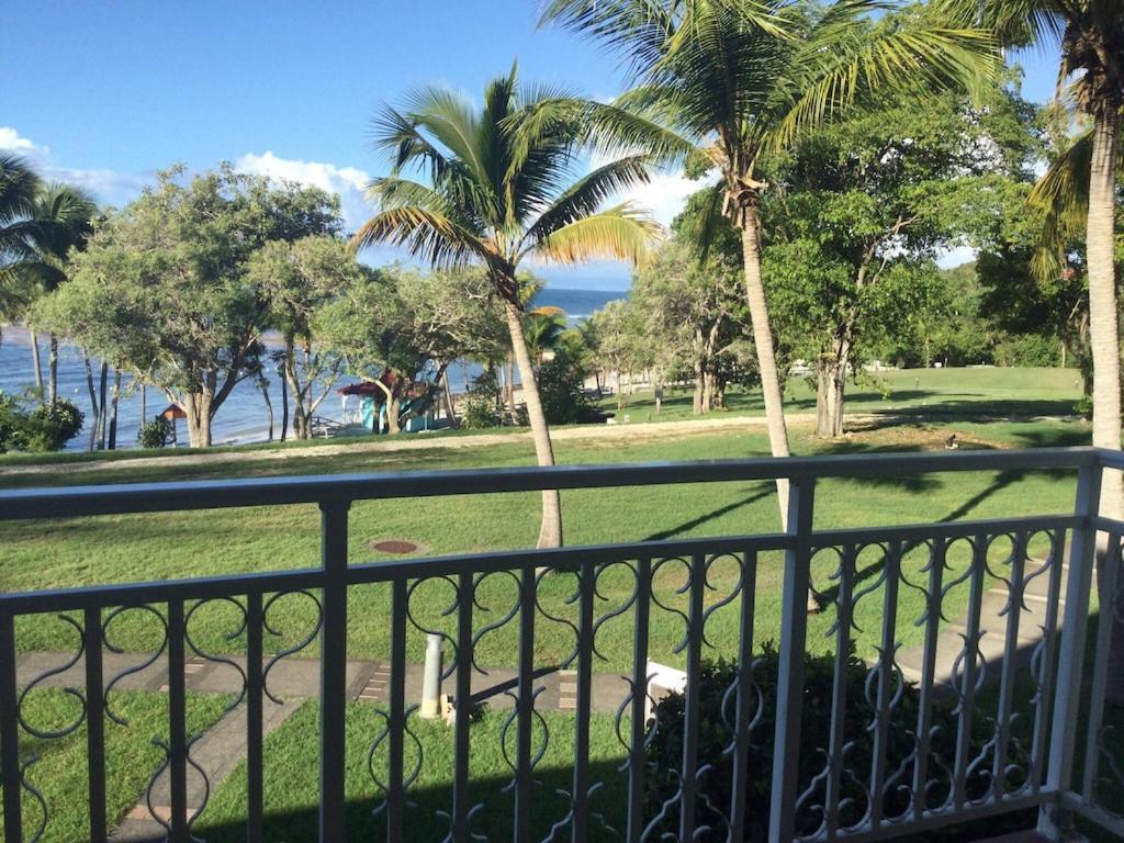 Studio Village Vacances,Vue Mer, Plage A 30M ,Wifi A Sainte Anne Buitenkant foto