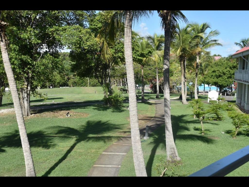 Studio Village Vacances,Vue Mer, Plage A 30M ,Wifi A Sainte Anne Buitenkant foto