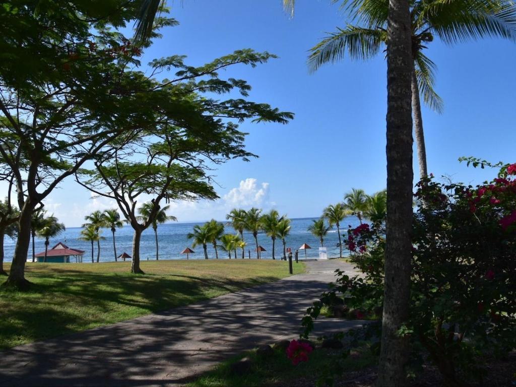 Studio Village Vacances,Vue Mer, Plage A 30M ,Wifi A Sainte Anne Buitenkant foto